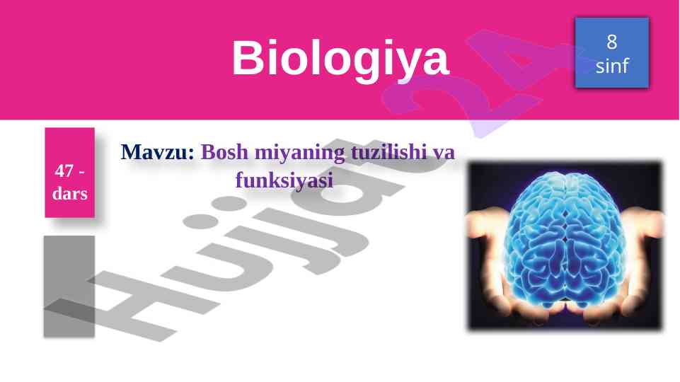 Bosh miyaning tuzilishi va funksiyasi