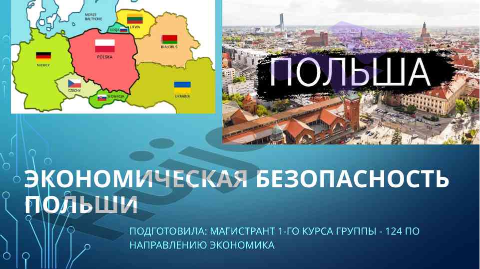 Экономическая безопасность польши анализ 2024 года