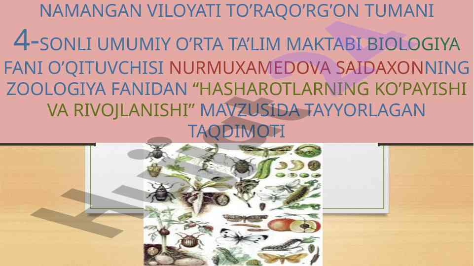 Hasharotlarning ko'payishi va rivojlanishi taqdimoti