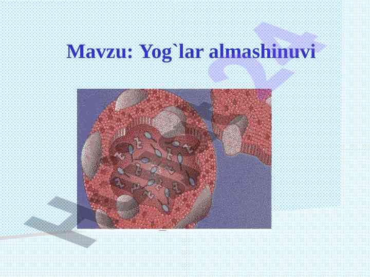 Yog'lar almashinuvi va hazmlanishi