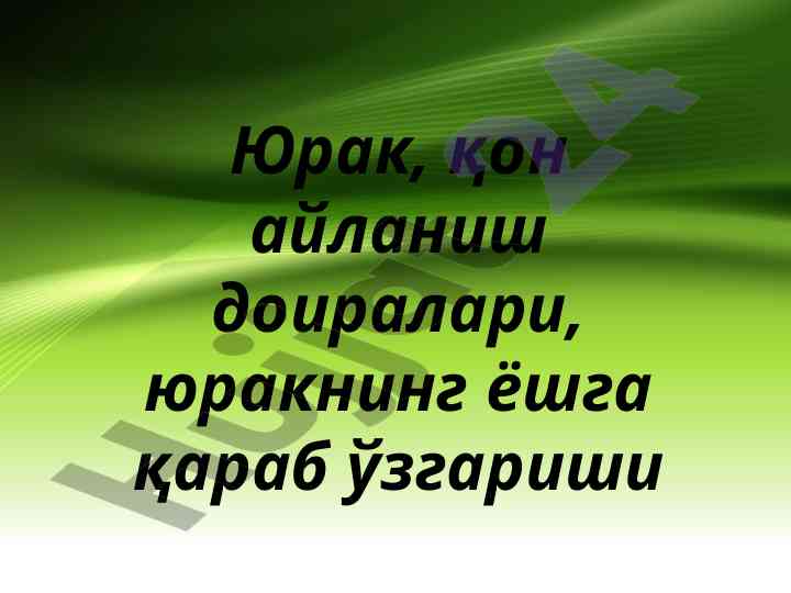 Yurak va qon aylanishi doiralari haqida maqola