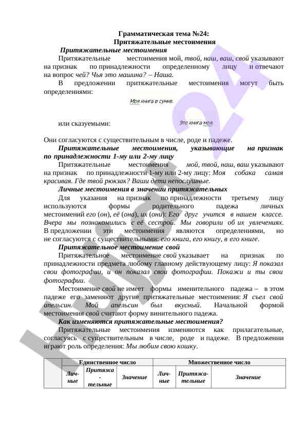 Притяжательные местоимения: обзор и примеры