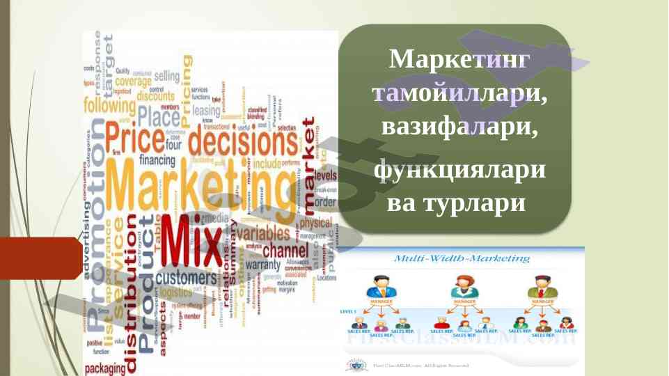 Marketing management functions and strategies