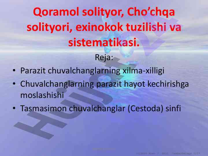 Exinokokk tuzilishi va tizimatikasi haqida ma'lumot