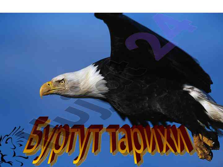 Burgutlarning umr ko‘rish haqida ma'lumotlar