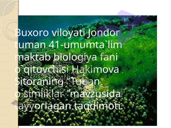 Tuban o`simliklar mavzusida taqdimot