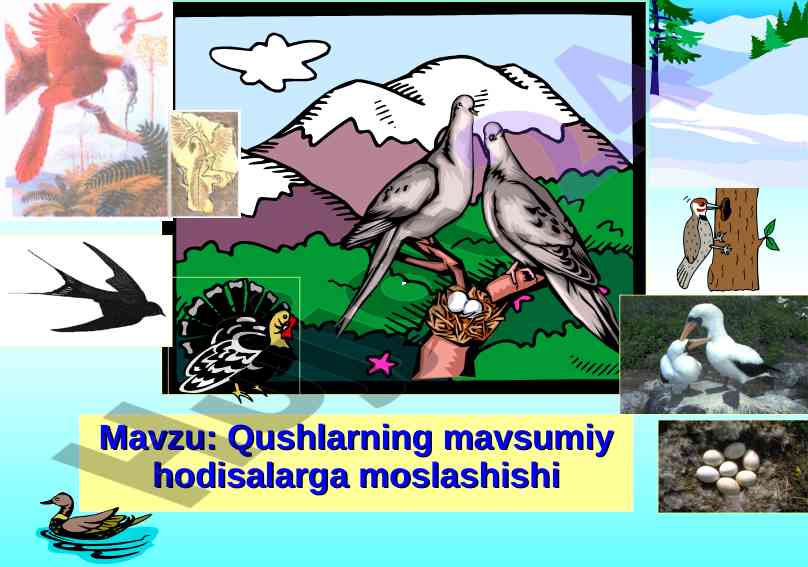 Qushlarning mavsumiy hodisalarga moslashishi