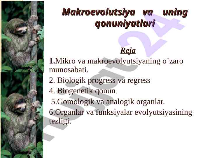 Makroevolutsiya va uning qonuniyatlari tahlili
