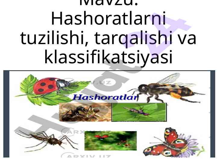 Hashoratlarni tuzilishi va tarqalishi tahlili