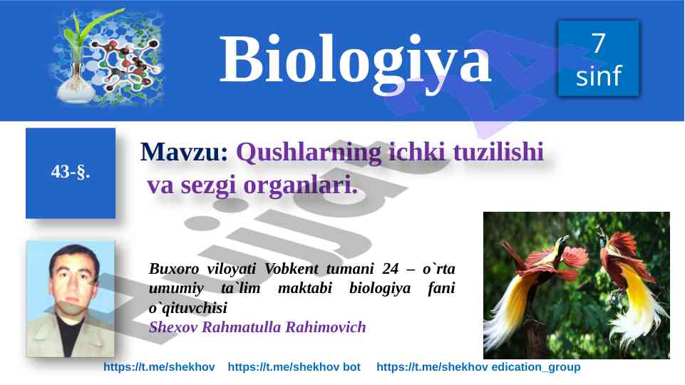 Qushlarning ichki tuzilishi va sezgi organlari