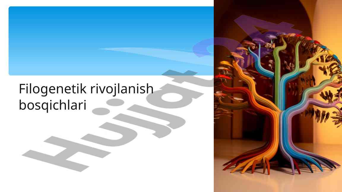 Filogenetik rivojlanish bosqichlari va turlar