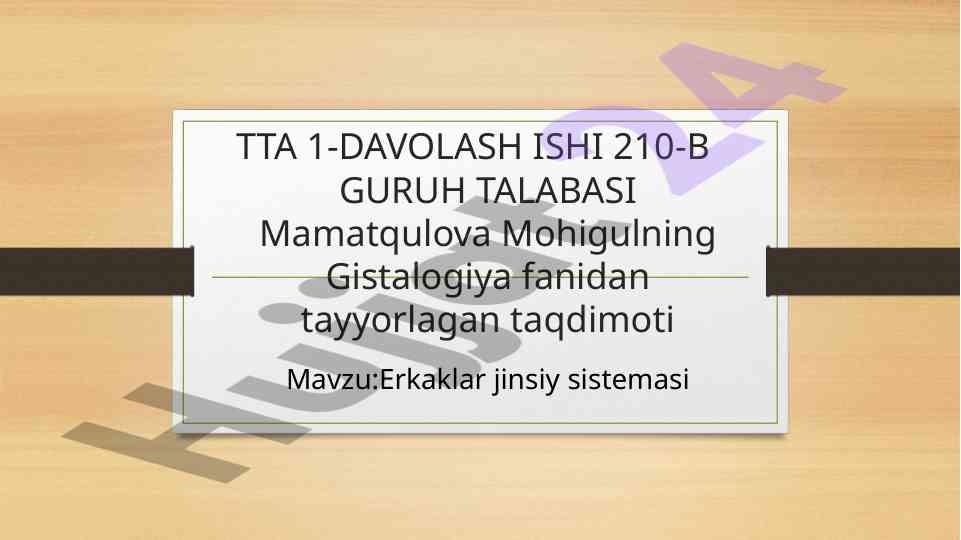 Erkaklar jinsiy sistemasinin gistalogiya taqdimoti