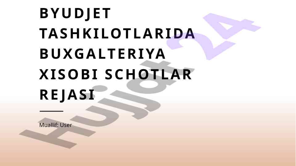 Byudjet tashkilotlarida buxgalteriya xisobi rejasini o‘rganish