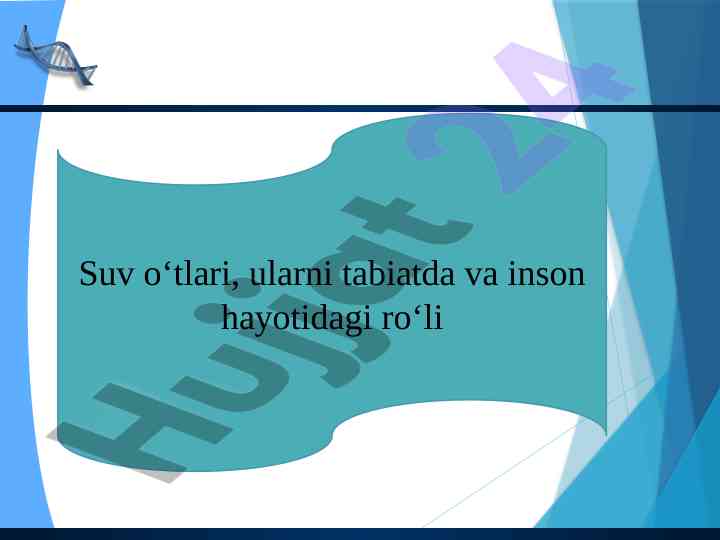 Suv O'tlari Va Ularning Tabiatdagi Roli