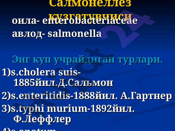 Salmonella patogenesi va morfologiyasi