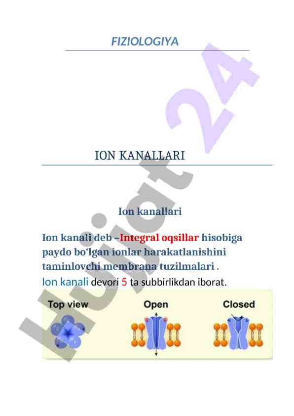 Fiziologiya ion kanallari tahlili