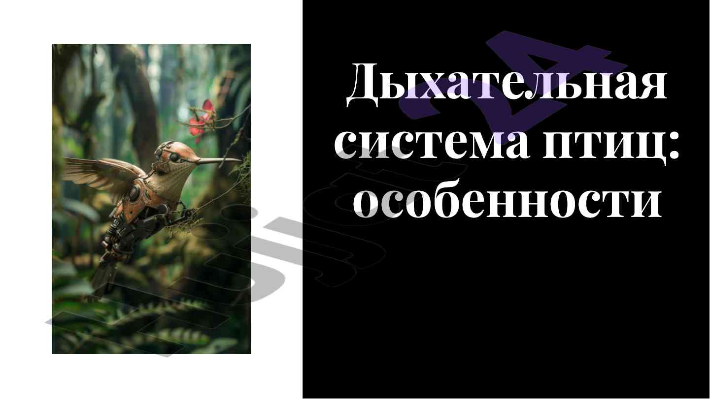 Дыхательная система птиц особенности газообмена