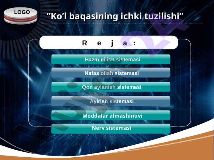 Ko’l baqasining ichki tuzilishi tahlili
