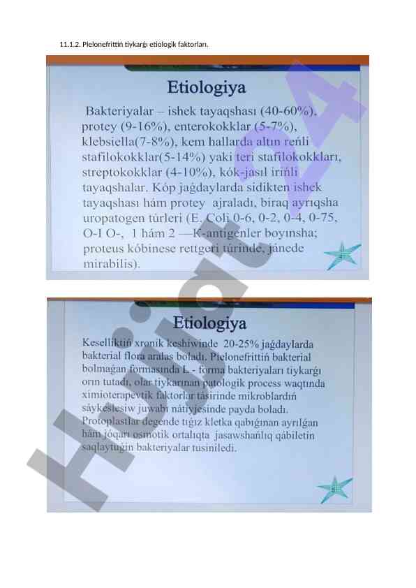 Pielonefrit etiologik faktorlar va patogenezi