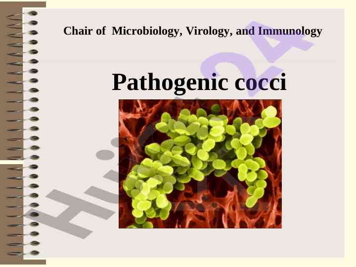 Classification of pathogenic cocci in microbiology