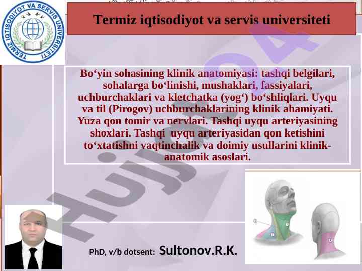 Bo'yin sohasi klinik anatomiyasi tahlili
