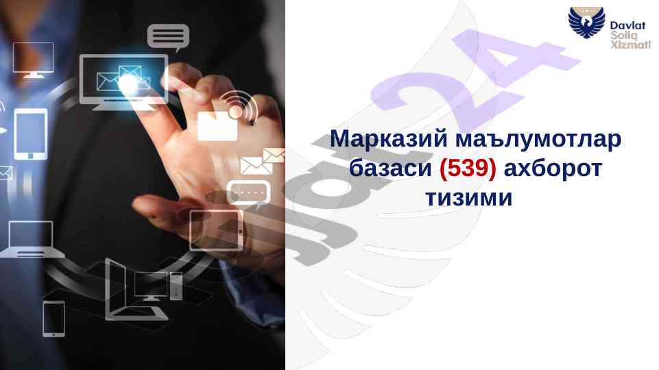 Yuridik shaxslar uchun ma'lumotlar bazasining tashkili