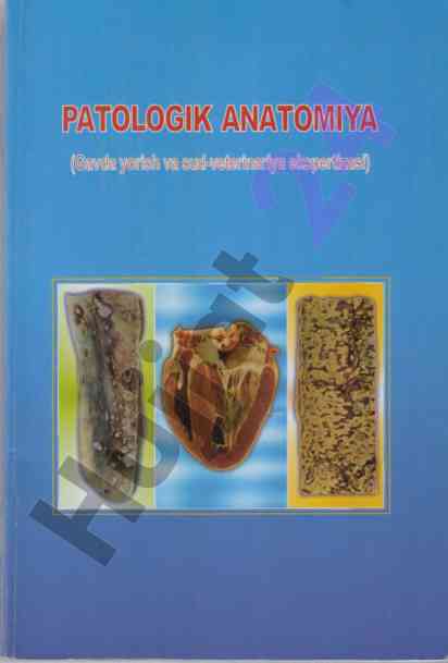Patologik anatomiyaga o‘quv qo‘llanma