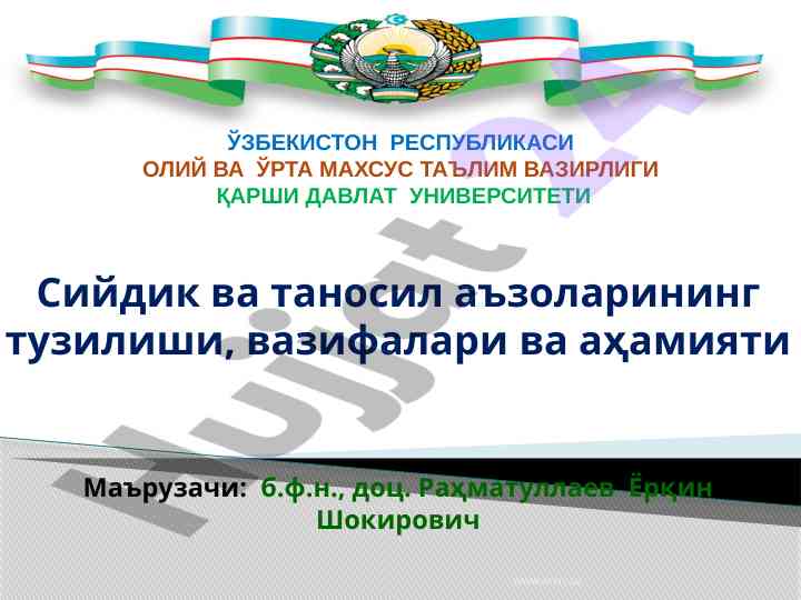 Сийдик ва таносил аъзоларининг тузилиши ва аҳамияти