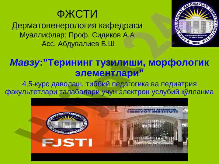 Teri tuzilishi va morfologik elementlari