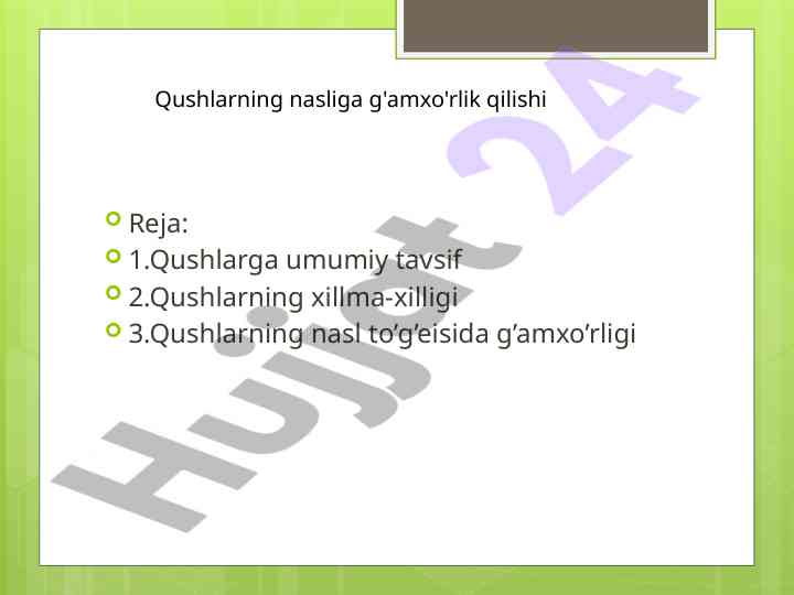 Qushlarning umumiy tavsifi va nasl g'amxo'rligi