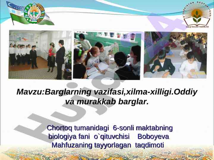 Barglarning vazifasi va xilma-xilligi taqdimoti