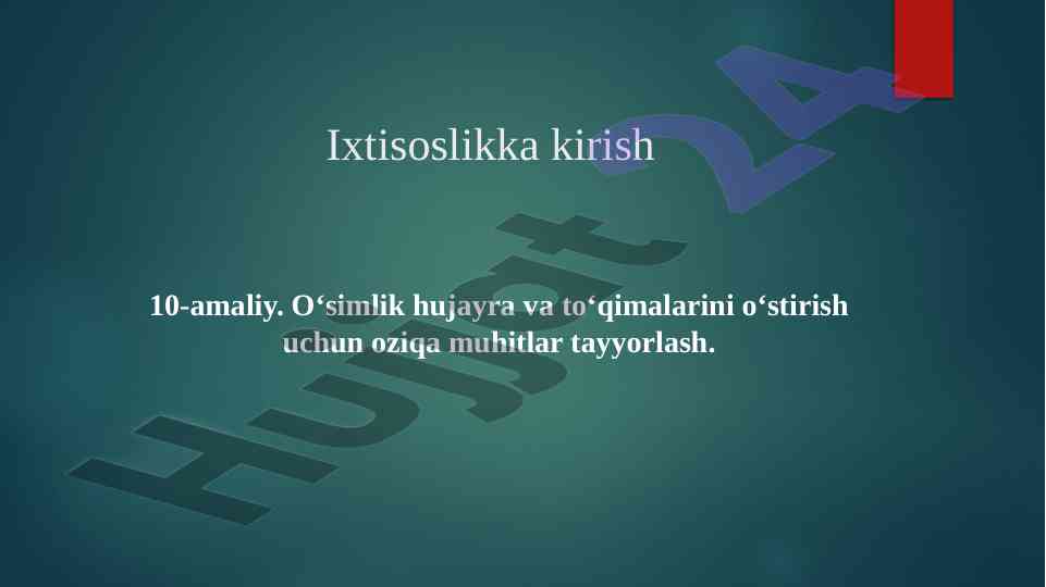O‘simlik hujayralari o‘stirish uchun oziqa muhitlari
