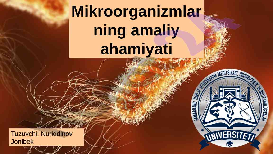 Mikroorganizmlarning amaliy ahamiyati tibbiyotda va qishloqda
