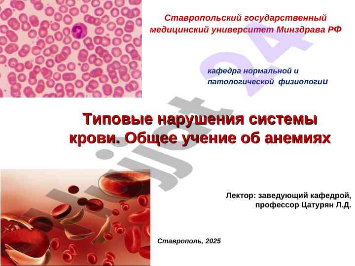 Типовые нарушения системы крови и анемия