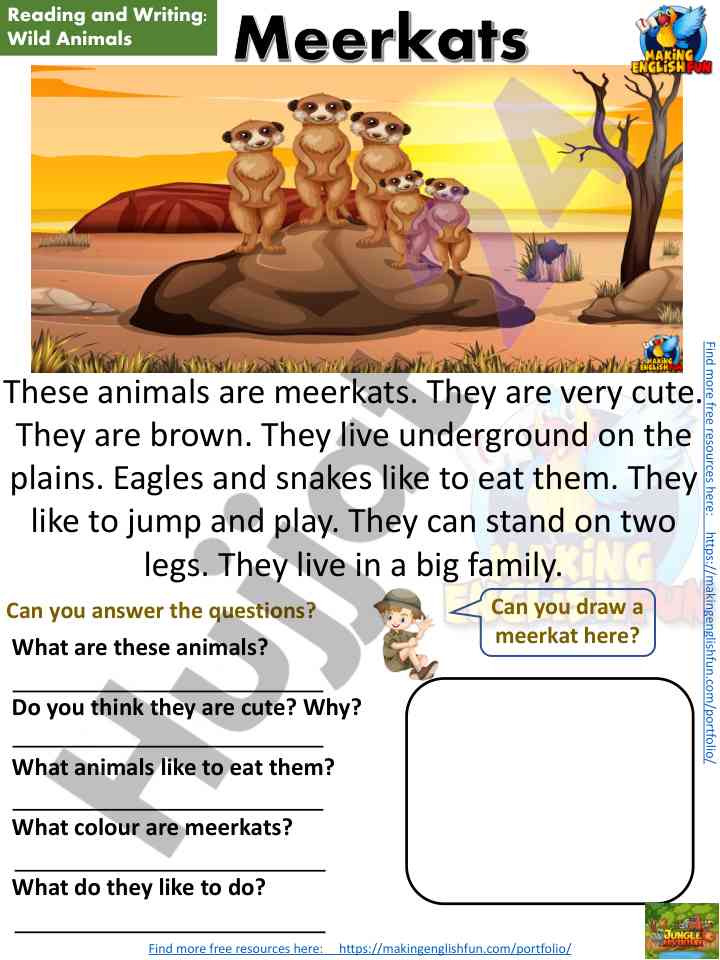 Introduction to meerkats and their habitat