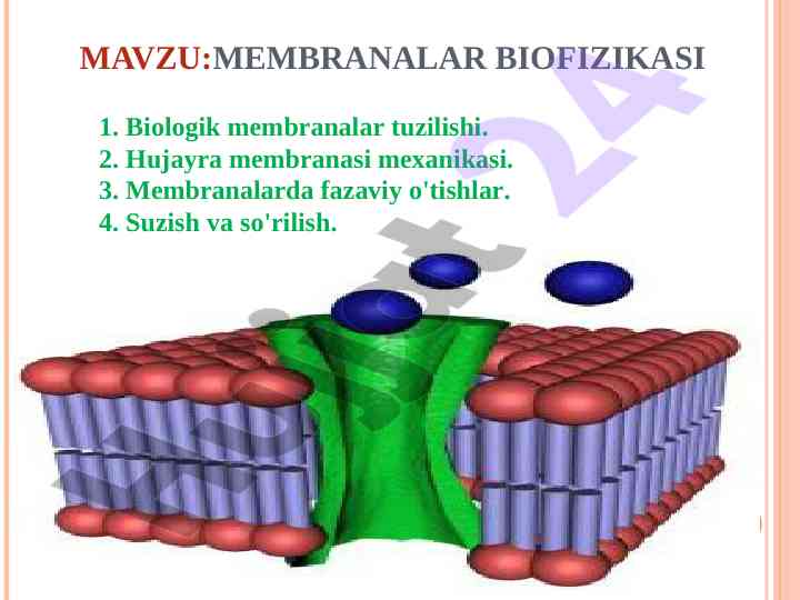 Biologik membranalar biofizikasi tahlili