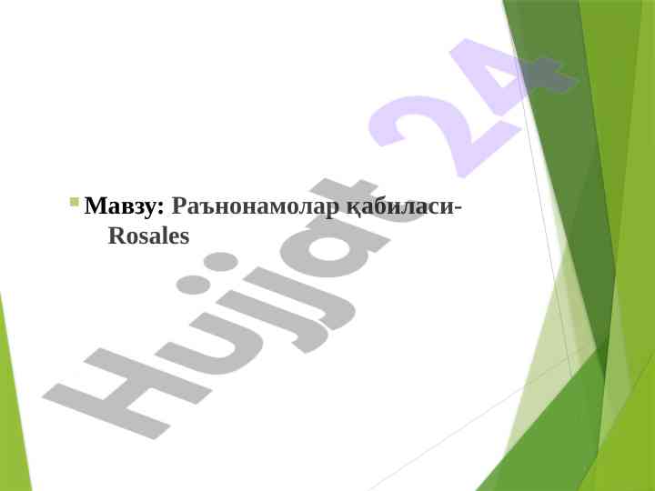 Магнолиясимонлар синфи классификацияси