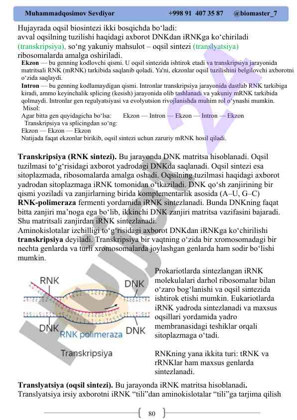 Oqsil biosintezi jarayonlari haqida malumotlar