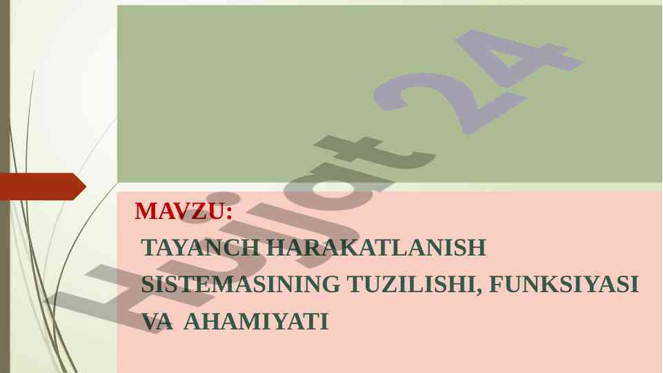 Tayanch harakatlanish sistemasi tuzilishi va ahamiyati