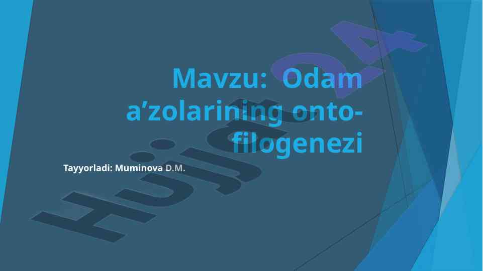 Odam a’zolarining onto-filogenezi asoslari