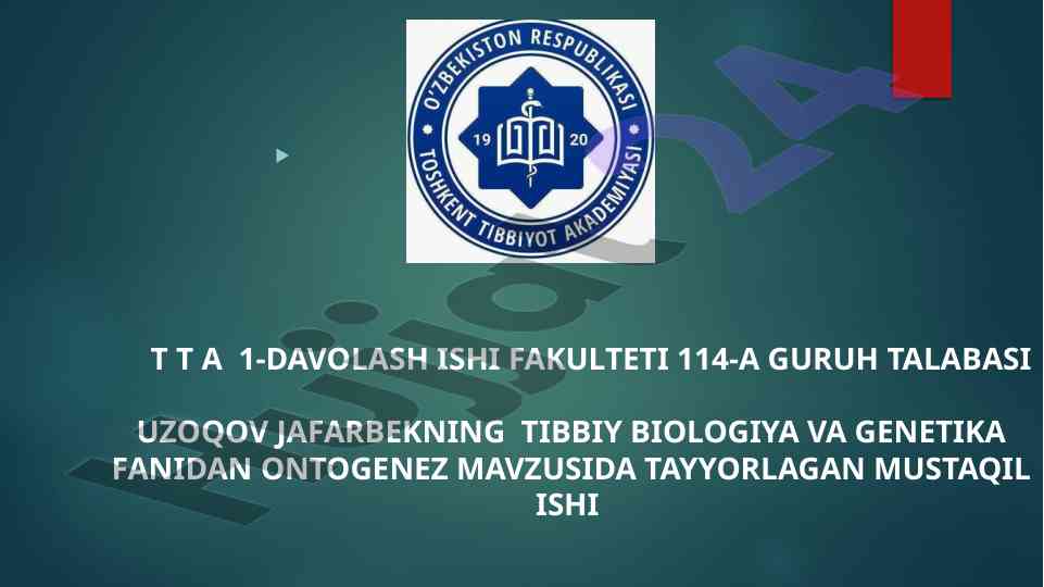 Ontogenez mavzusida mustaqil ish tayyorlash