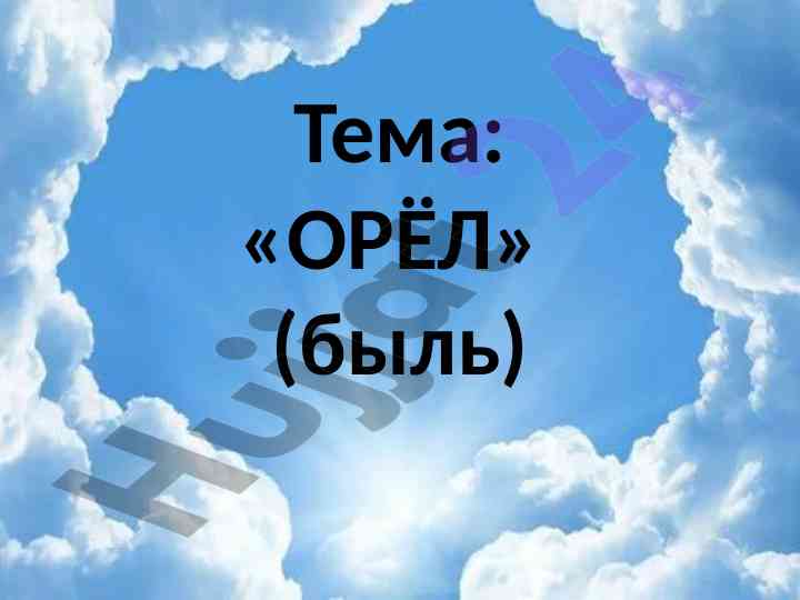 Орел быль: вопросы и ответы по тестированию