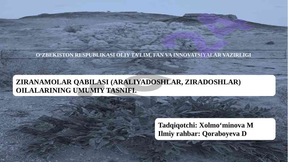 Ziranamolar qabilasi umumiy tasnifi tahlili