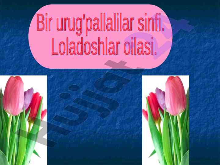 Raqamli diktant savollari va o'simliklar turlari
