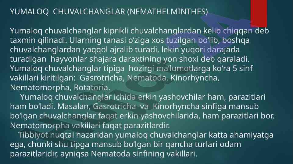 Yumaloq chuvalchanglar: turi va ahamiyati