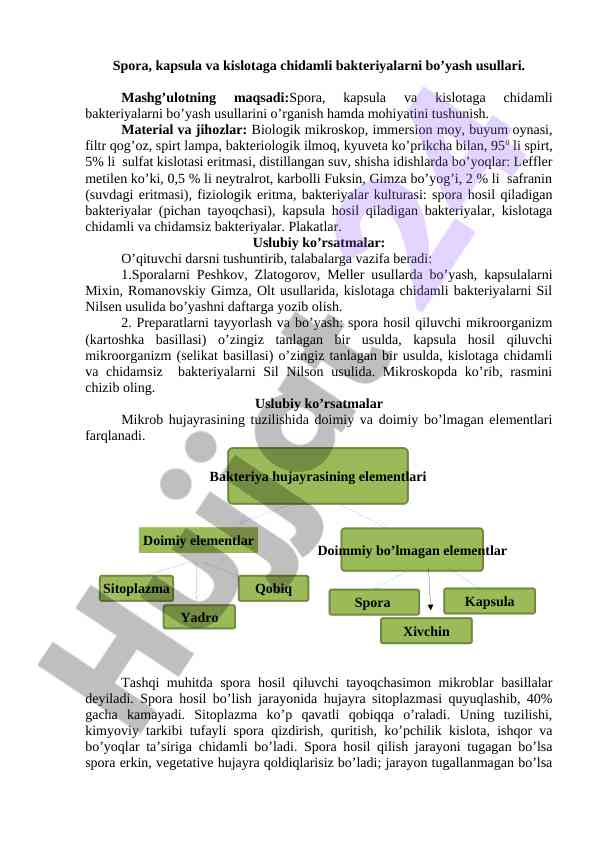 Spora va kapsulaga chidamli bakteriyalarni bo’yash