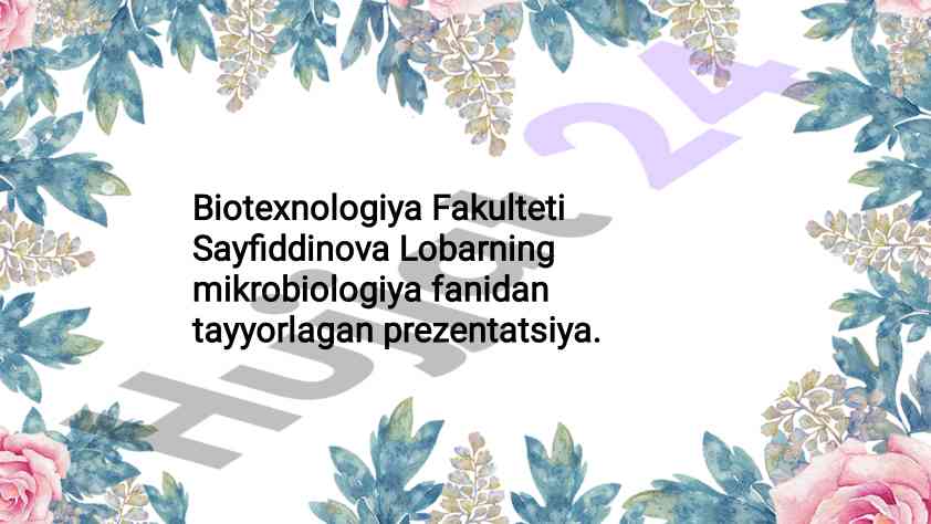 Metionin va lizinni sintez qiluvchi mikroorganizmlar