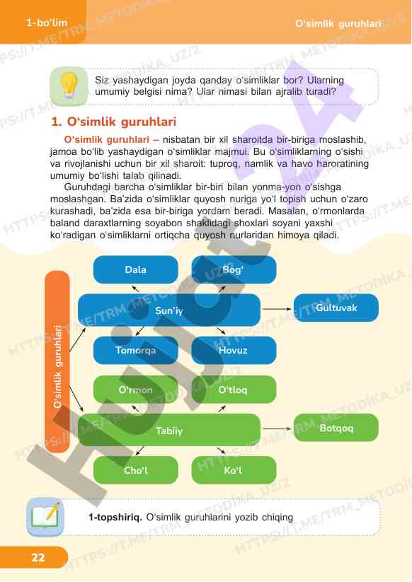 O‘simlik guruhlari va ularning xususiyatlari