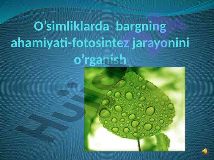 O’simliklarda bargning ahamiyati-fotosintez jarayoni