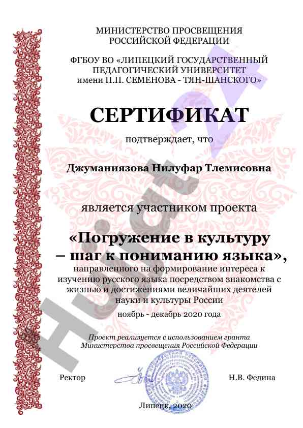 Погружение в культуру и изучение русского языка